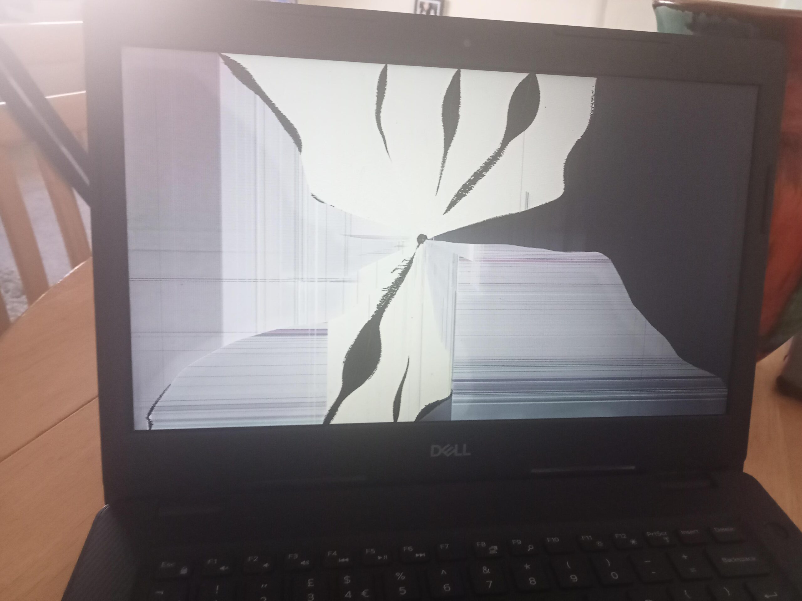 broken dell laptop screen